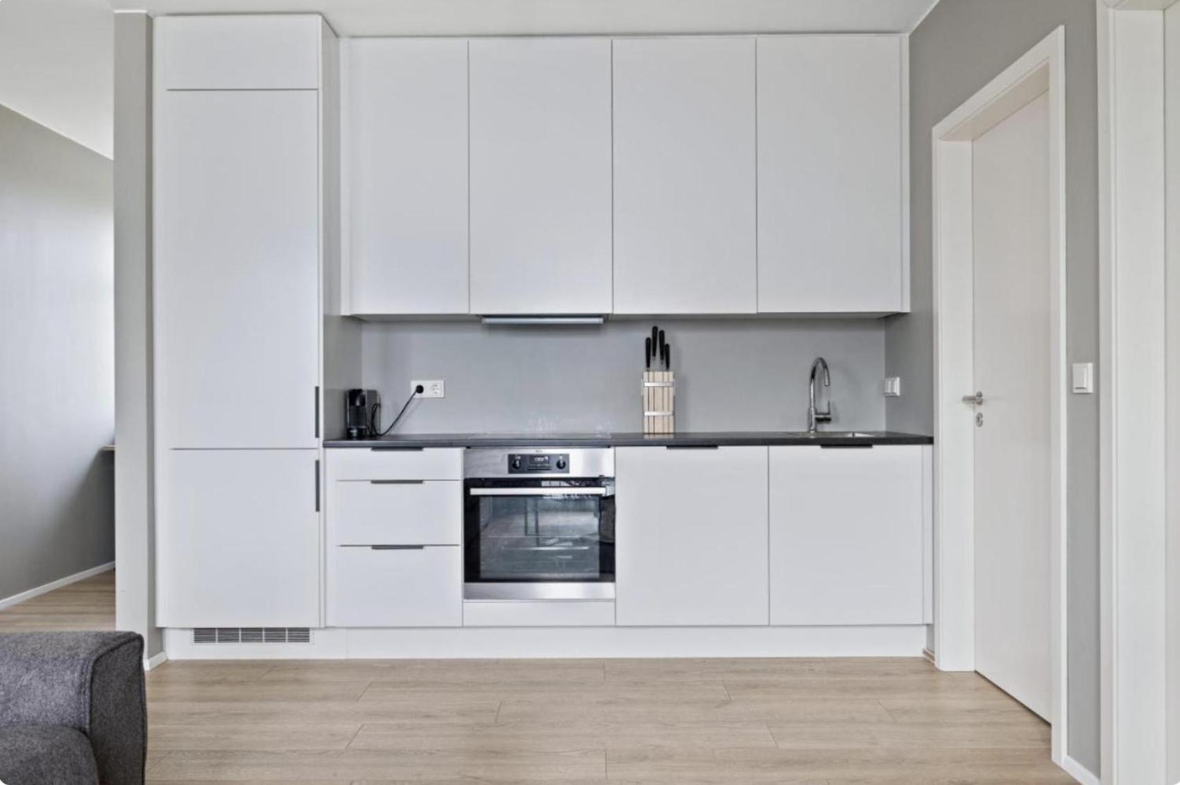 Cheerful Down Town Apartment Рейк'явік Екстер'єр фото
