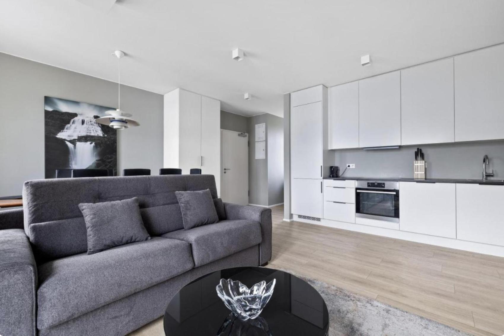 Cheerful Down Town Apartment Рейк'явік Екстер'єр фото